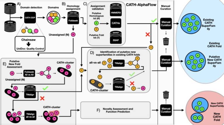 Outline of the CATH classification pipeline.