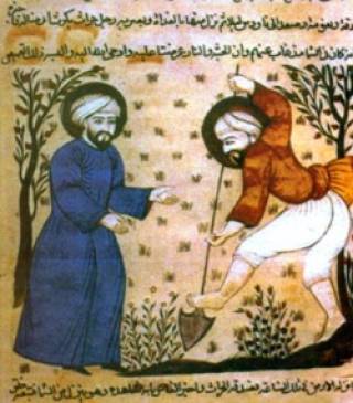 Agricultural scene from a mediaeval Arabic manuscript from al-Andalus (Islamic Spain) c. 1200 (Image courtesy of Aleksander Pluskowski)