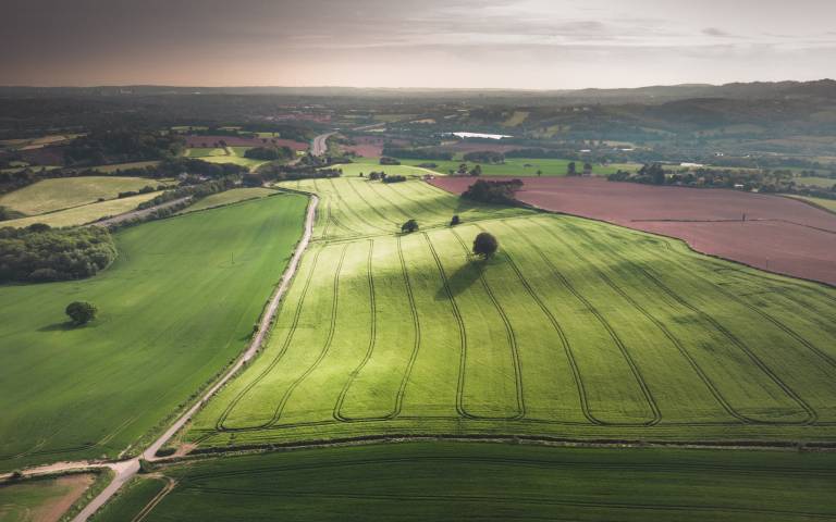 Fields and land