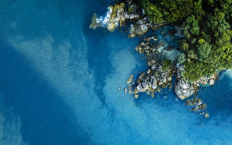 Aerial photo of coast showing trees and blue ocean