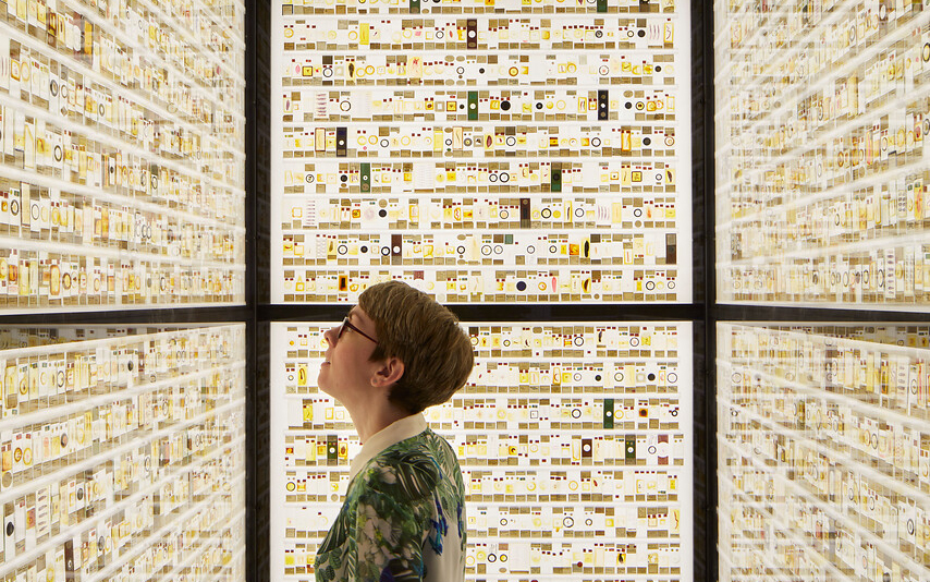 Woman looking at a collection in the Grant Museum of Zoology