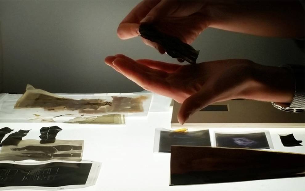 A person examining a heritage collections