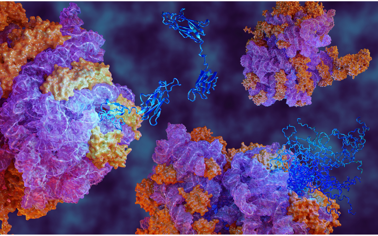 Protein folding in health and disease