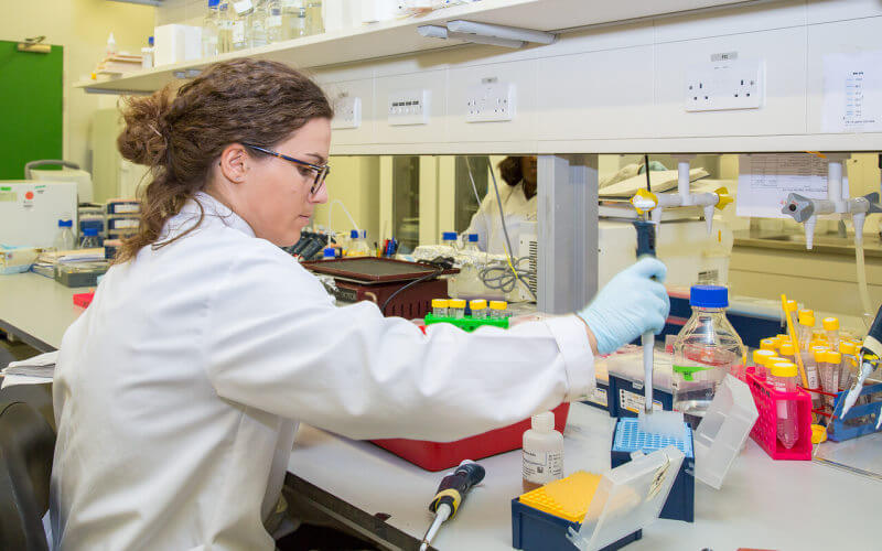 Researcher uses lab equipment at the Cancer Institute