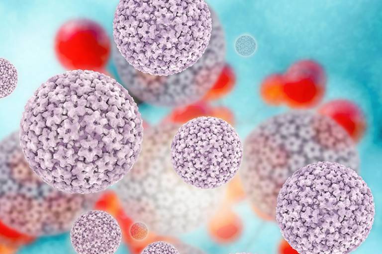 New Research Sheds Light On Role Of Hpv In Head And Neck Cancers Ucl