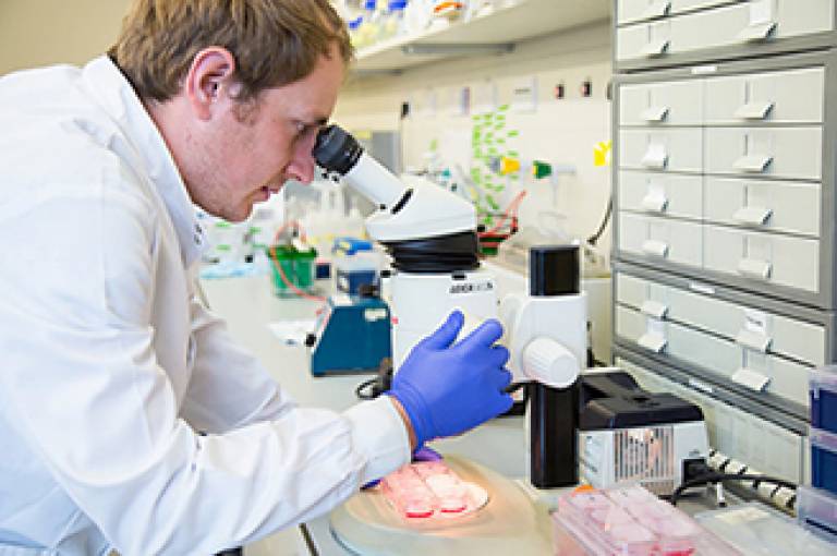 cancer research phd studentships