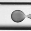 Droplet Microfluidics