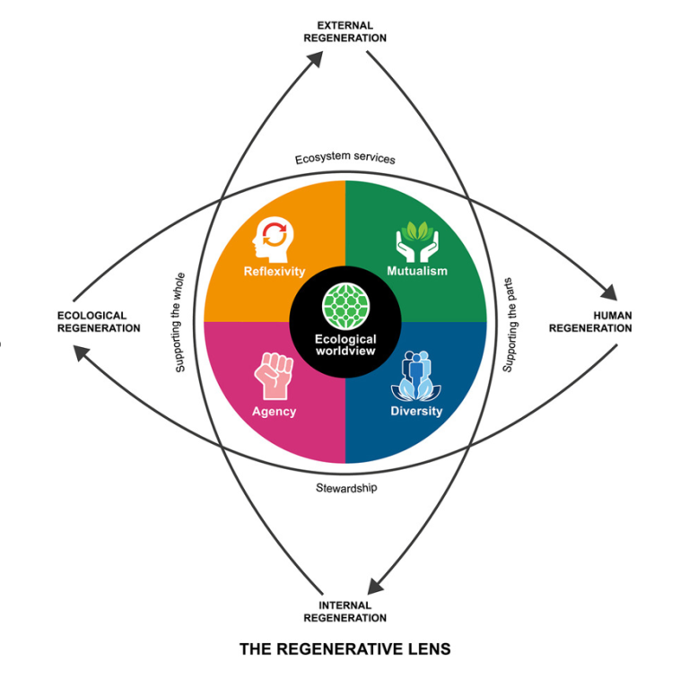 The Regenerative Lens