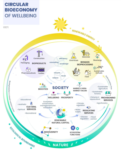 Circular Bioeconomy of Wellbeing (Image)