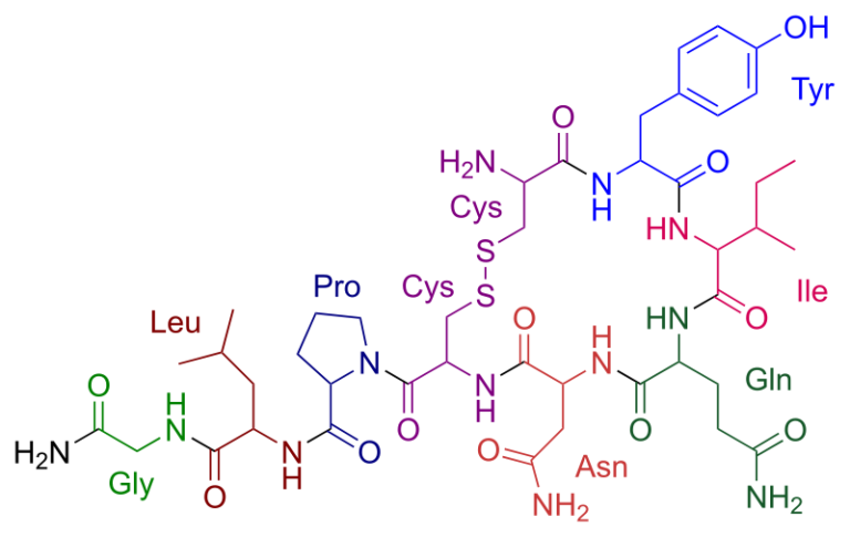 A diagram displaying the formula of oxytocin 