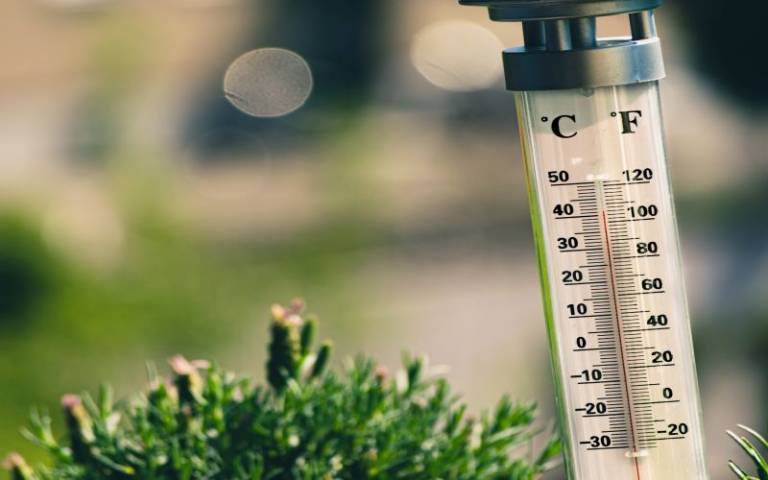 Temperature and Thermometers 