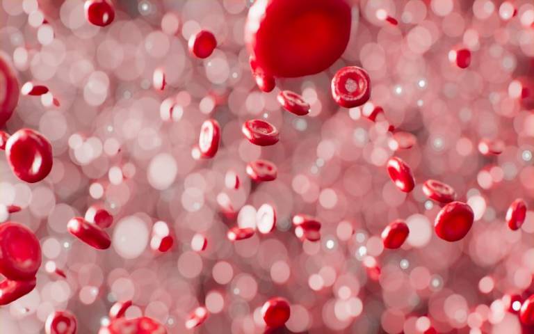 Red blood cells courtesy of  ANIRUDH on unsplash