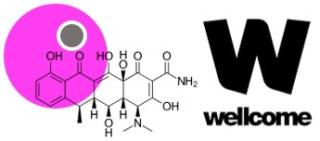 TIPS microsphere with doxycycline