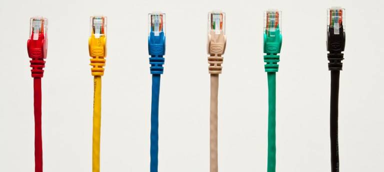 colourful networking cables