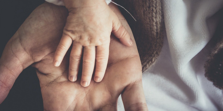 Adult and child hold hands