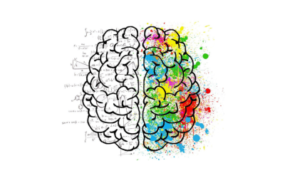 two sides of the brain - one is in black and white and the other is in bright colours