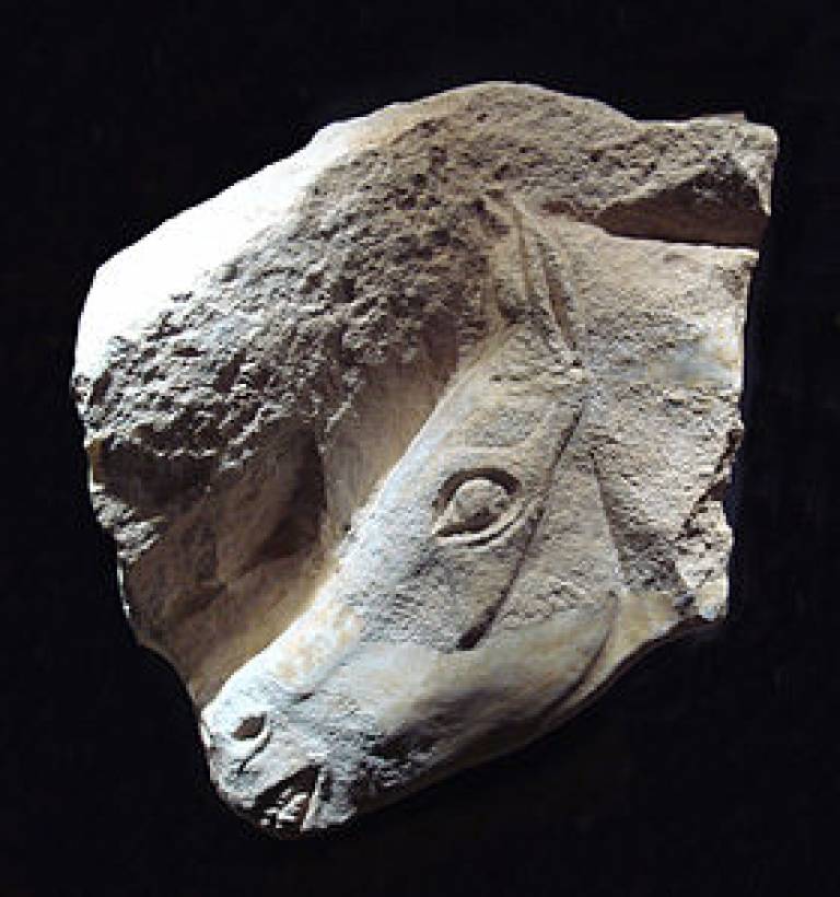 Magdalenian Horse Head