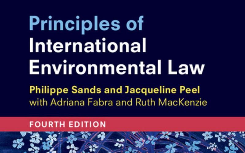 Screen grab of the cover of the report Principles of international Environmental Law 