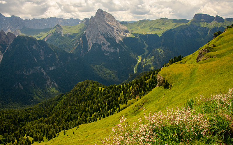 mountains and fields