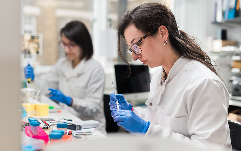 Scientists in lab