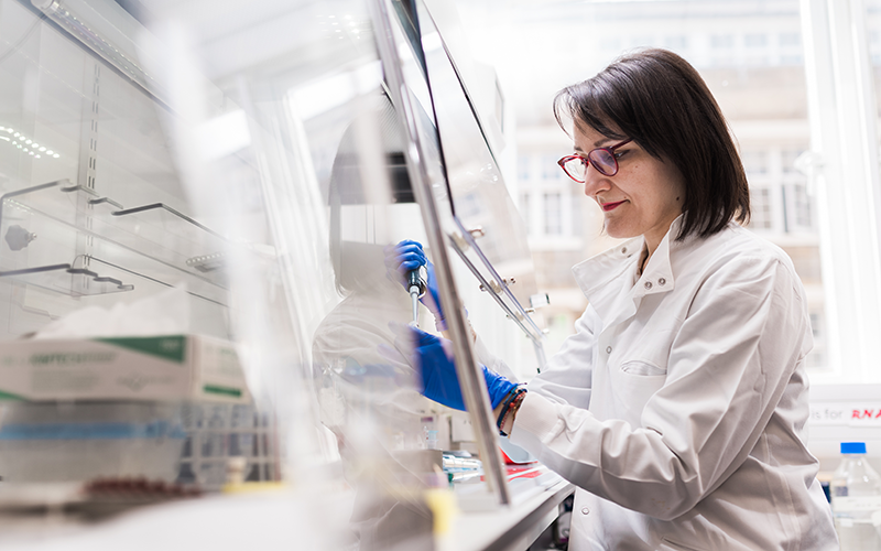 scientist working in fume hood