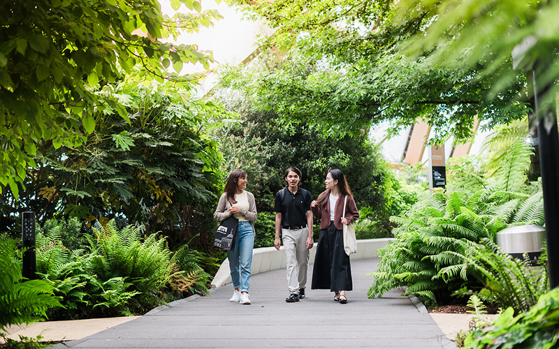 Students walking in path surrounded by greenery