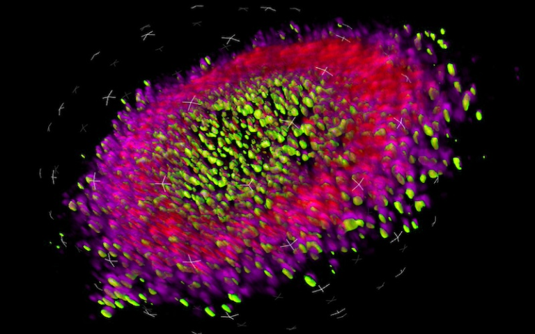 Bioinformatics research image