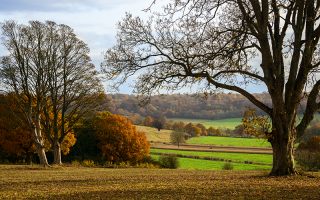 autumn countryside