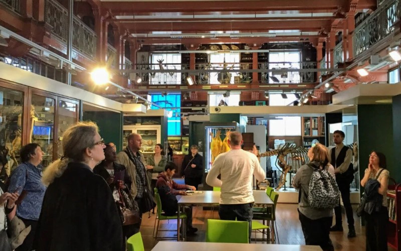 People inside the main area of the Grant Museum