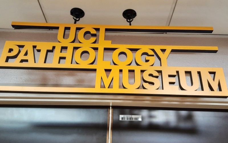 Entrance signage with the words UCL Pathology Museum