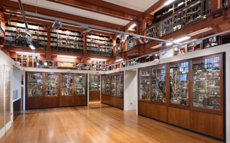 Interior of the Grant Museum of Zoology