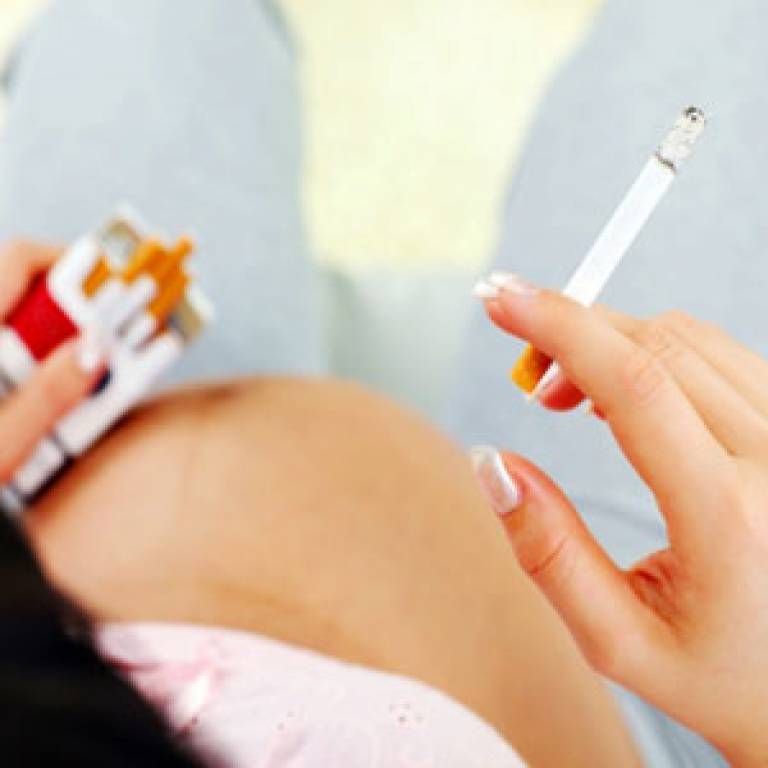 Birth Defects Linked To Smoking In Pregnancy Ucl News Ucl University College London