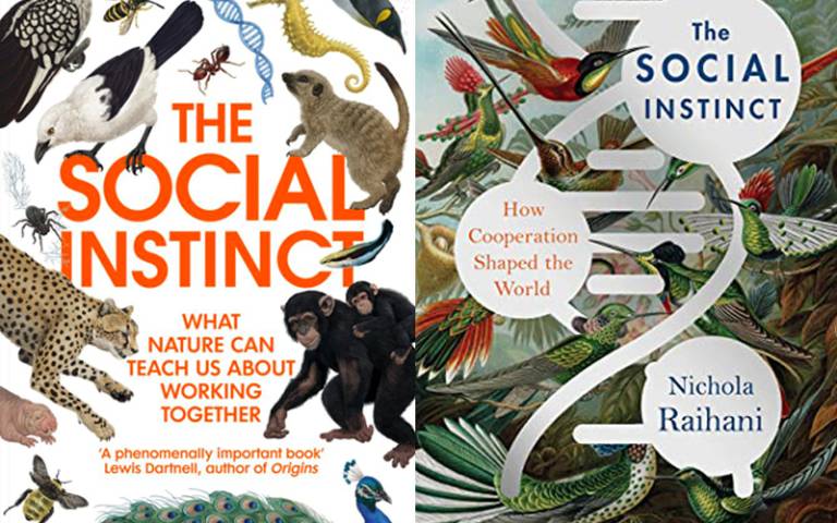 Book covers for 'The Social Instinct' by Nichola Raihani.