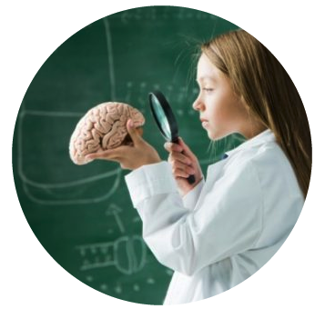 Young girl looking at a brain through a magnifiying glass