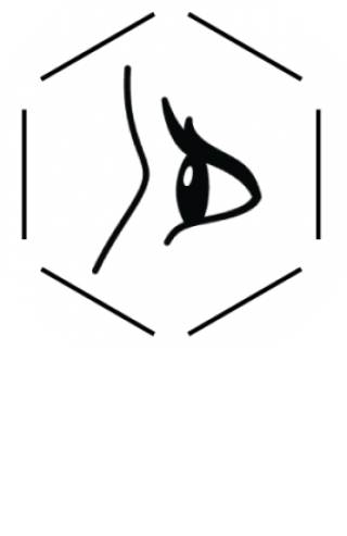 Saleem Lab logo, illustration of an eye within a hexegon