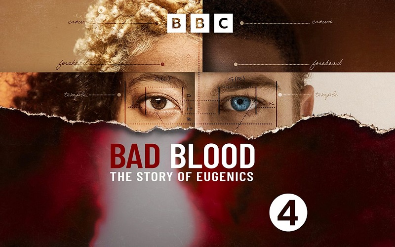 Bad Blood podcast image