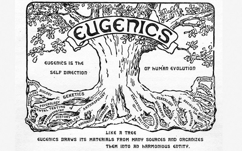 Image of the Eugenics tree, one of the most reprinted images associated with the history and legacy of eugenics