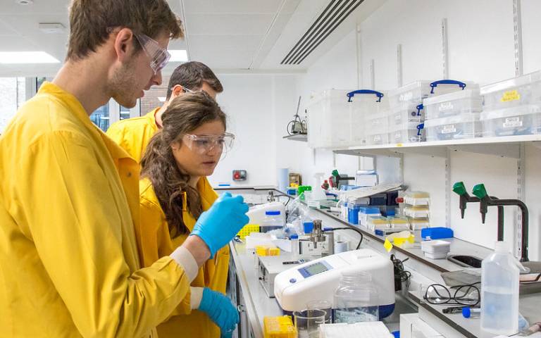 Researchers working in lab