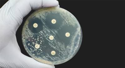 Placeholder image petri dish containing blah 