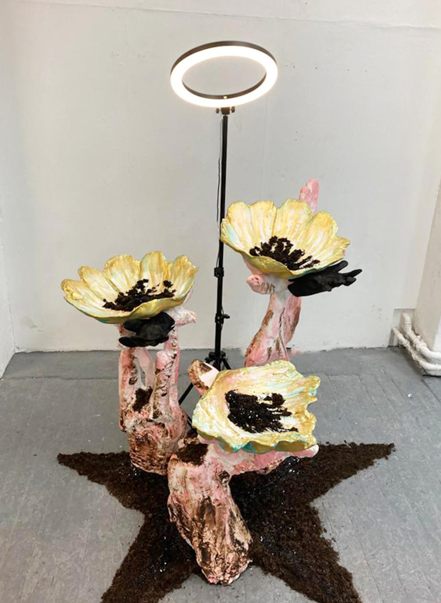 Soil star with coral like plaster stands holding gold plaster shells dressed with glittery soil, lit by beauty lamp.