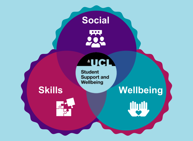 Venn diagram with each circle showing Social, Wellbeing and Skills