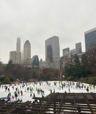 nyc ice rink