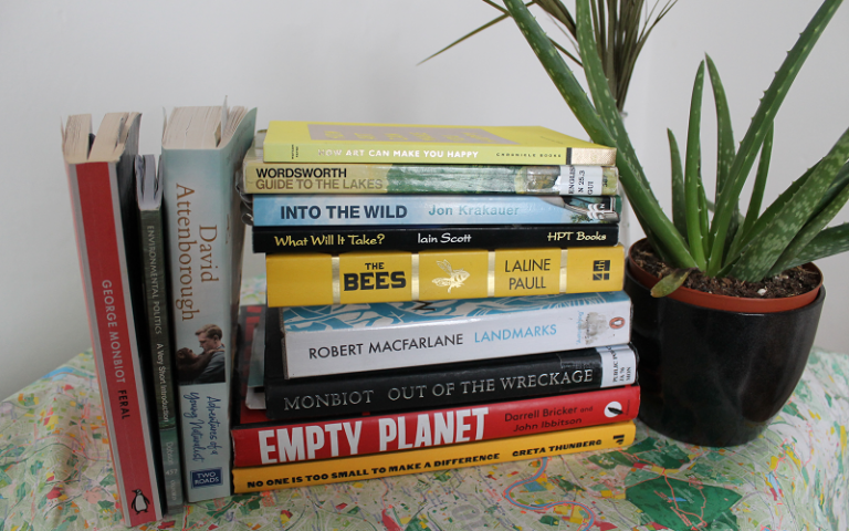 Photo of a stack of books and potted plants