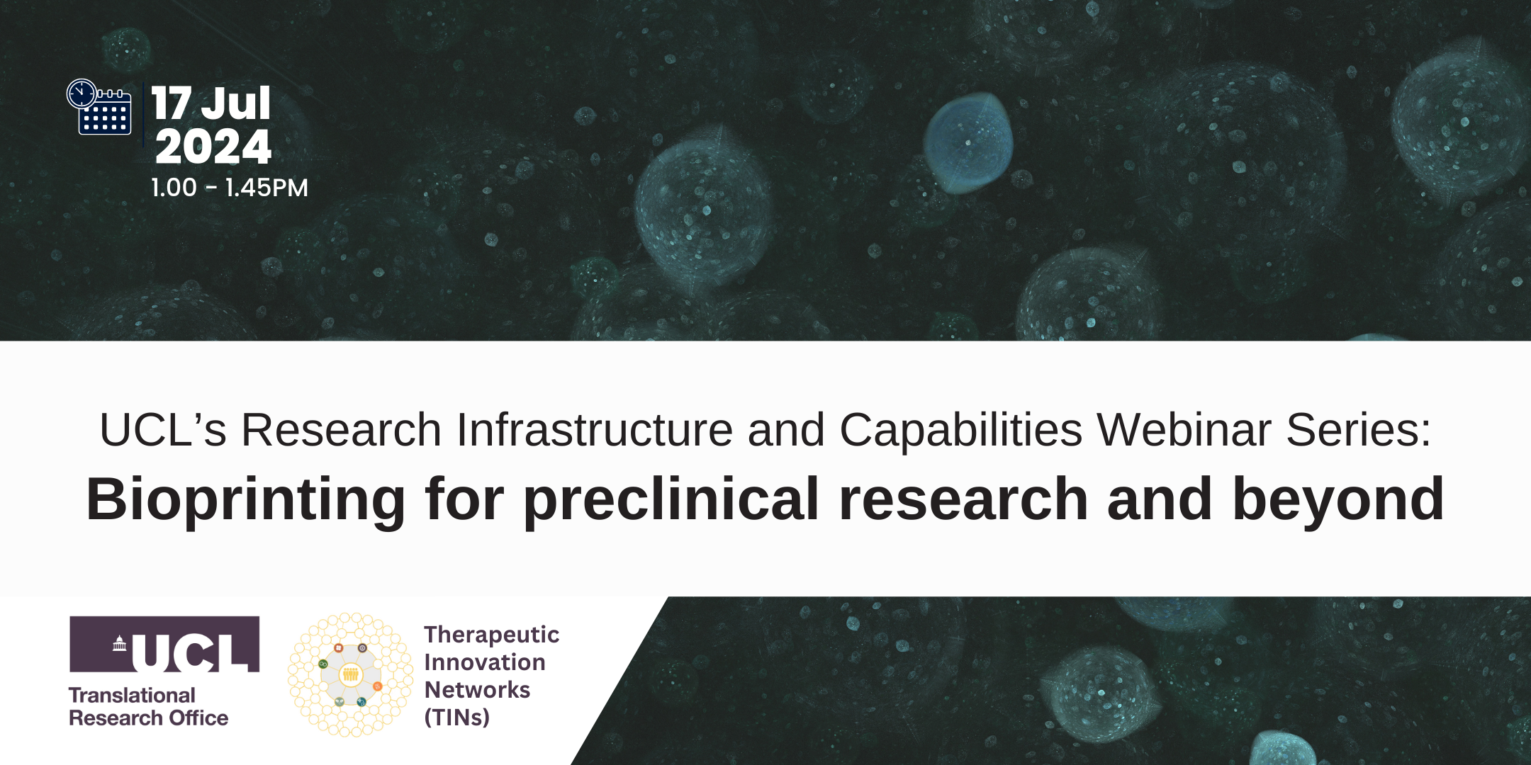 17 Jul 2024◾Webinar: Bioprinting for preclinical research and beyond