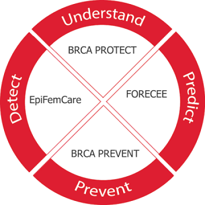 Research Overview Diagram