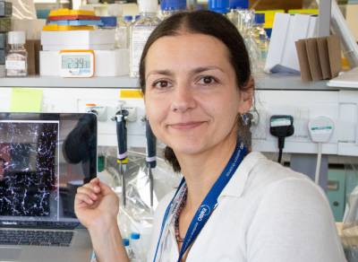 Image of Svetlana Khoronenkova - Non-clinical Lecturer