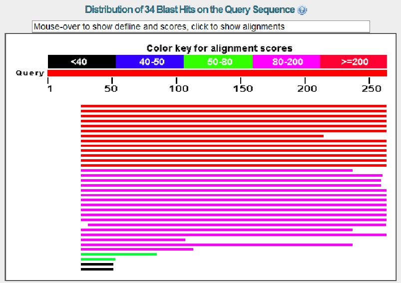 Graphic summary of BLAST