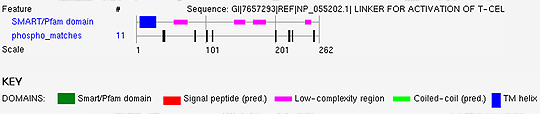 Summary of results reported by the Phospho.ELM BLAST Search