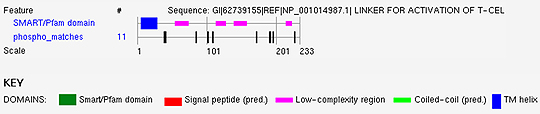 Summary of results reported by the Phospho.ELM BLAST Search