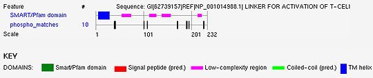 Summary of results reported by the Phospho.ELM BLAST Search